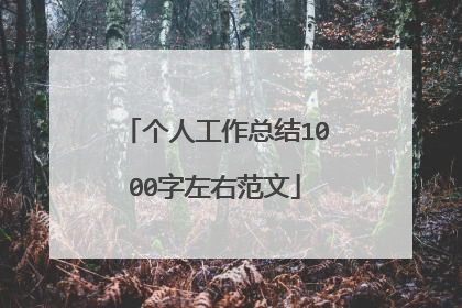 个人工作总结1000字左右范文