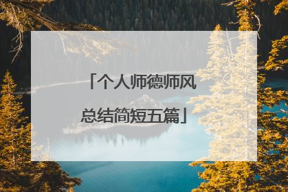 个人师德师风总结简短五篇