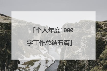 个人年度1000字工作总结五篇