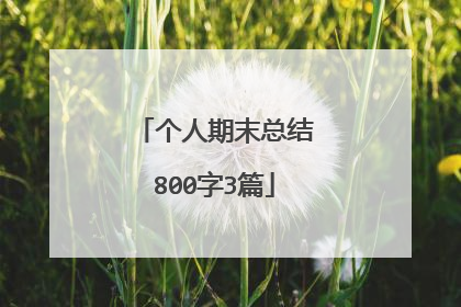 个人期末总结800字3篇