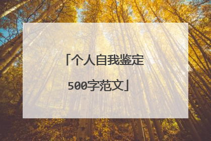 个人自我鉴定500字范文