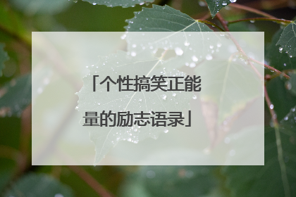 个性搞笑正能量的励志语录