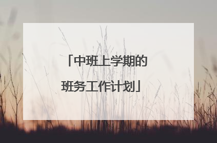 中班上学期的班务工作计划