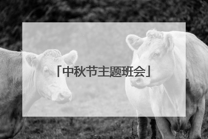 中秋节主题班会