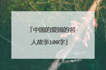 中国的爱国的名人故事100字