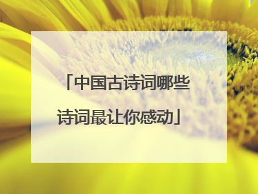 中国古诗词哪些诗词最让你感动