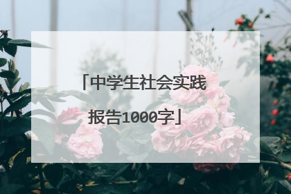 中学生社会实践报告1000字