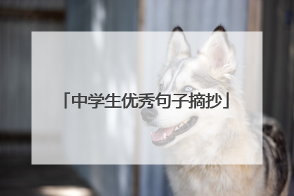 中学生优秀句子摘抄