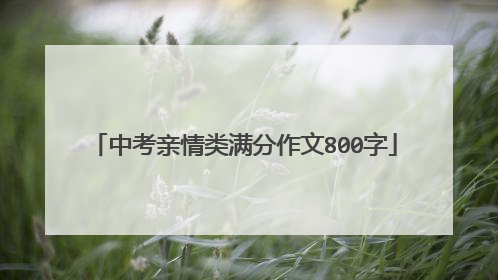 中考亲情类满分作文800字