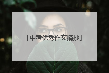 中考优秀作文摘抄