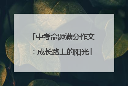 中考命题满分作文：成长路上的阳光