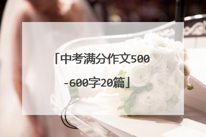 中考满分作文500-600字20篇