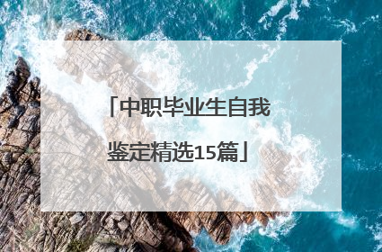 中职毕业生自我鉴定精选15篇