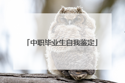 中职毕业生自我鉴定