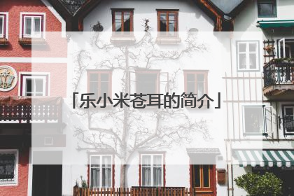 乐小米苍耳的简介