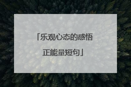 乐观心态的感悟 正能量短句