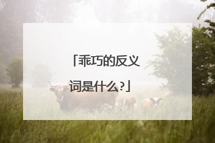 乖巧的反义词是什么?