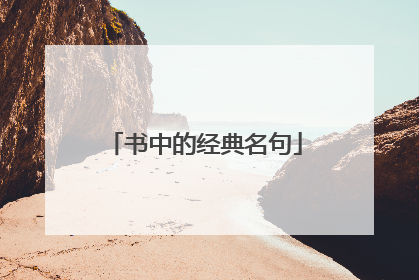 书中的经典名句