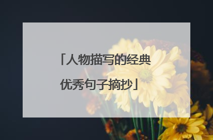 人物描写的经典优秀句子摘抄