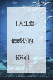 人生爱情感悟的短句