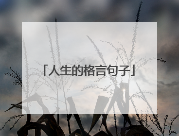 人生的格言句子