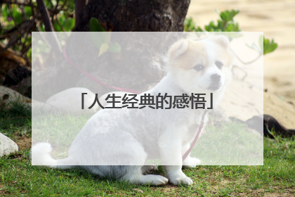 人生经典的感悟