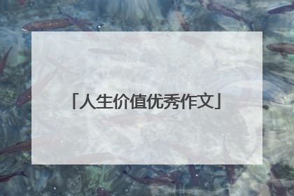 人生价值优秀作文
