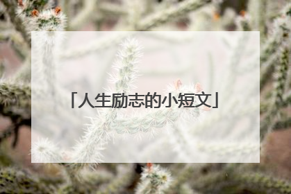 人生励志的小短文