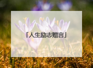 人生励志赠言