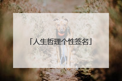 人生哲理个性签名