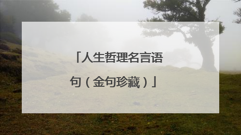 人生哲理名言语句（金句珍藏）