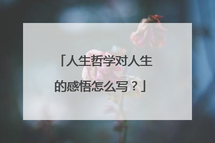 人生哲学对人生的感悟怎么写？