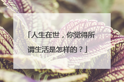 人生在世，你觉得所谓生活是怎样的？