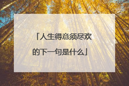 人生得意须尽欢的下一句是什么