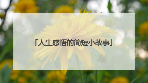 人生感悟的简短小故事
