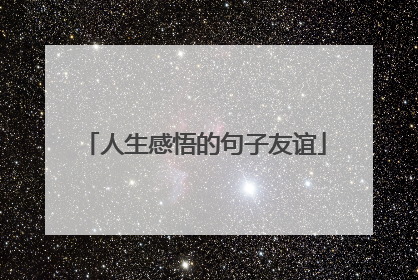 人生感悟的句子友谊