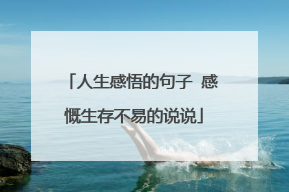 人生感悟的句子 感慨生存不易的说说