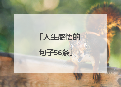 人生感悟的句子56条