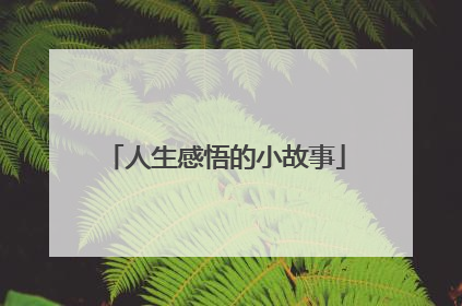 人生感悟的小故事