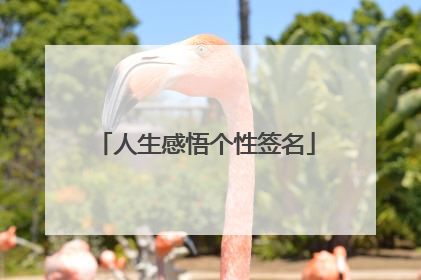 人生感悟个性签名