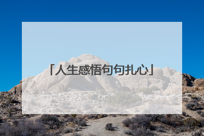 人生感悟句句扎心