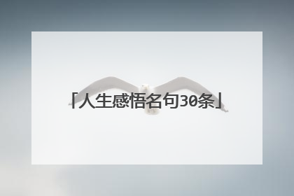 人生感悟名句30条