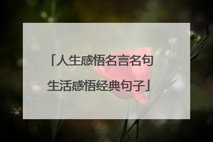 人生感悟名言名句 生活感悟经典句子