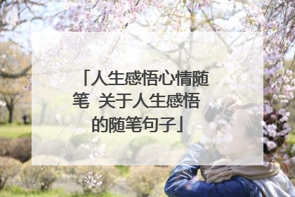 人生感悟心情随笔 关于人生感悟的随笔句子