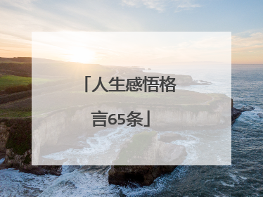人生感悟格言65条
