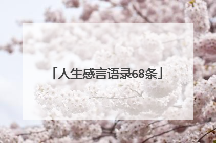 人生感言语录68条