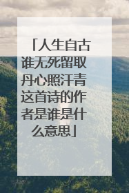 人生自古谁无死留取丹心照汗青这首诗的作者是谁是什么意思