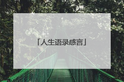 人生语录感言