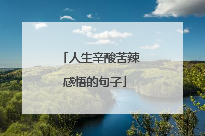 人生辛酸苦辣感悟的句子