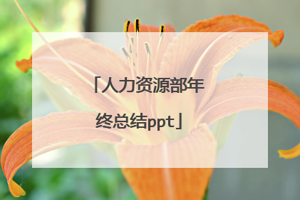 人力资源部年终总结ppt